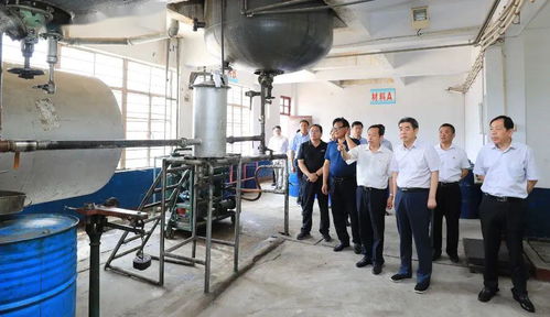 集團領導深入實業公司調研，聚焦轉型發展重點