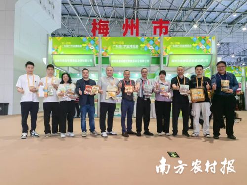 智創(chuàng)未來(lái)，AI賦能 蕉嶺毛竹品牌煥新，實(shí)業(yè)公司引領(lǐng)產(chǎn)業(yè)升級(jí)