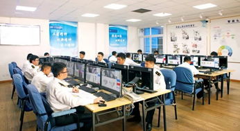 信息技術(shù)咨詢服務(wù)助力青島外理科技創(chuàng)新，理貨服務(wù)再升級